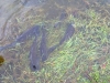 k-wp_20130427_016